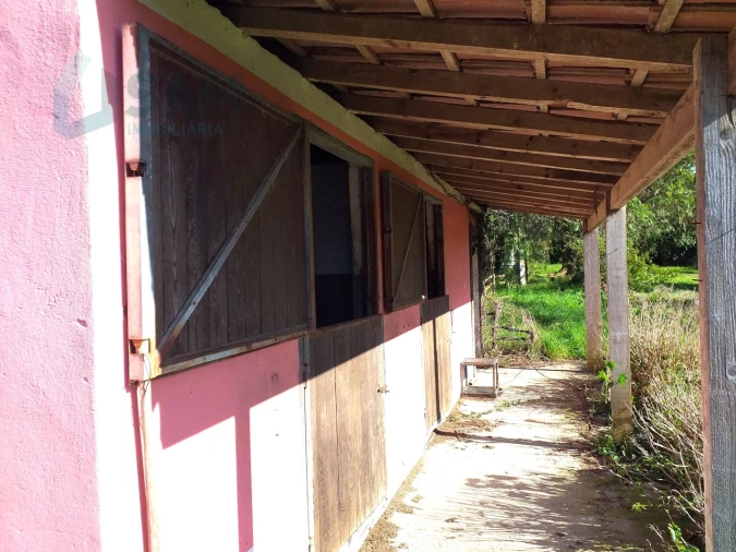 Moradia T6 para Venda em Santa Maria, São Pedro e Sobral da Lagoa Foto 56