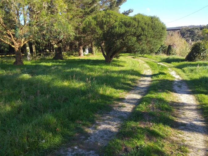Moradia T6 para Venda em Santa Maria, São Pedro e Sobral da Lagoa Foto 59