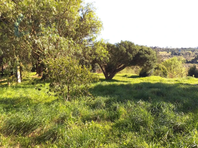 Moradia T6 para Venda em Santa Maria, São Pedro e Sobral da Lagoa Foto 60