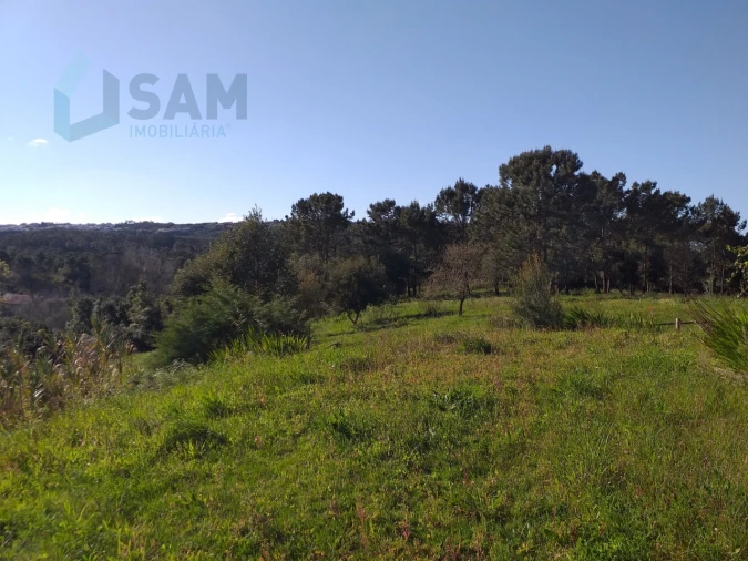 Moradia T6 para Venda em Santa Maria, São Pedro e Sobral da Lagoa Foto 63