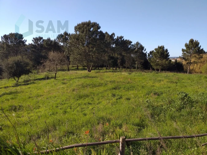 Moradia T6 para Venda em Santa Maria, São Pedro e Sobral da Lagoa Foto 64