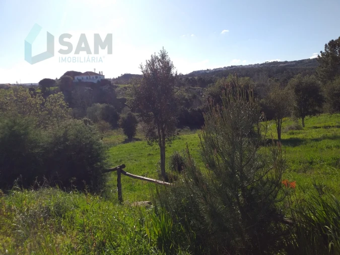 Moradia T6 para Venda em Santa Maria, São Pedro e Sobral da Lagoa Foto 65