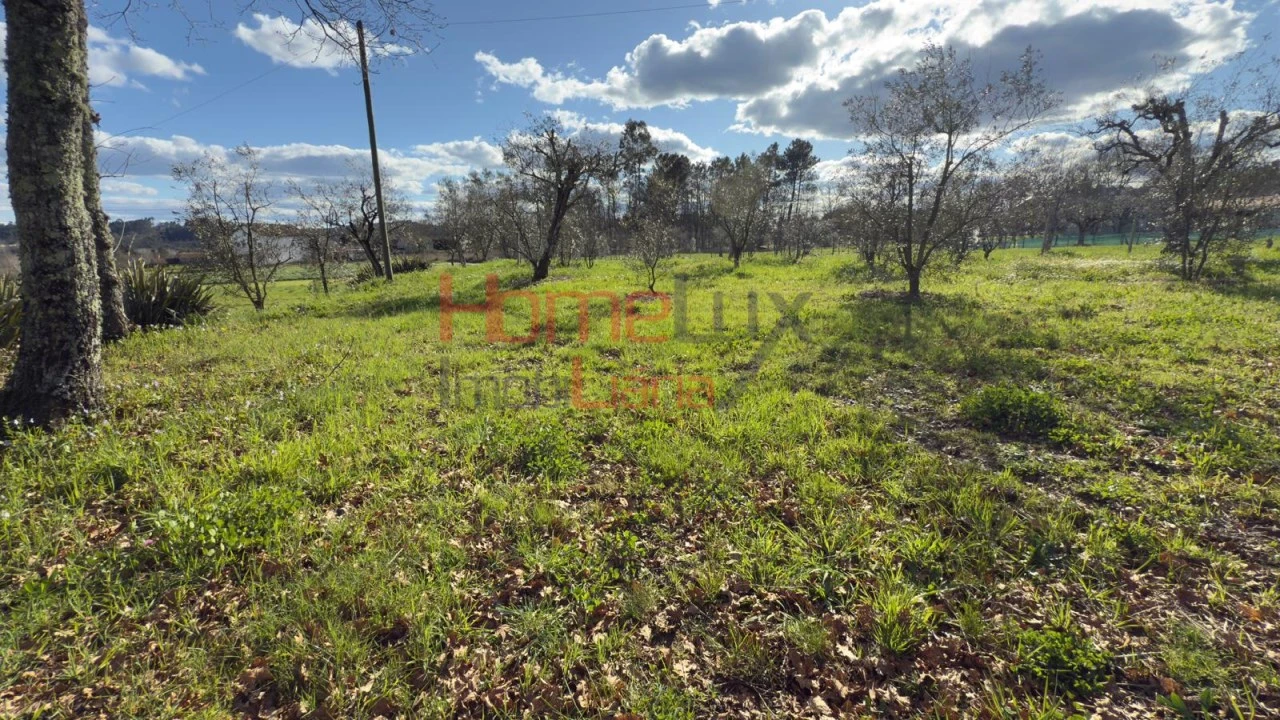 Moradia T1 para Venda em Barreiros e Cepões Foto 35