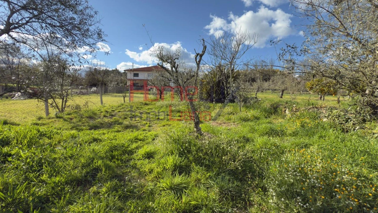 Moradia T1 para Venda em Barreiros e Cepões Foto 44