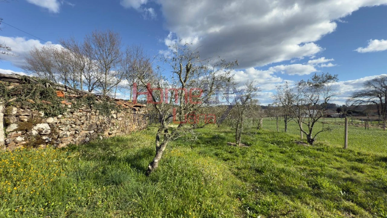 Moradia T1 para Venda em Barreiros e Cepões Foto 51