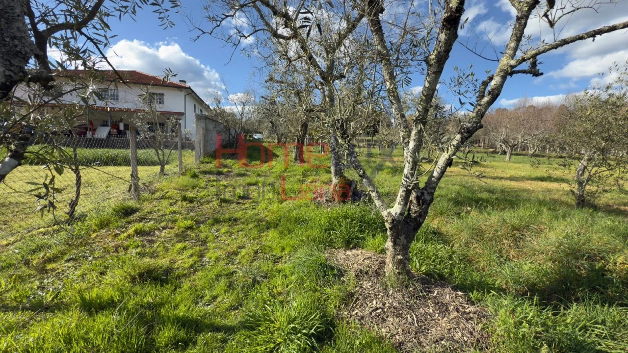 Moradia T1 para Venda em Barreiros e Cepões Foto 65