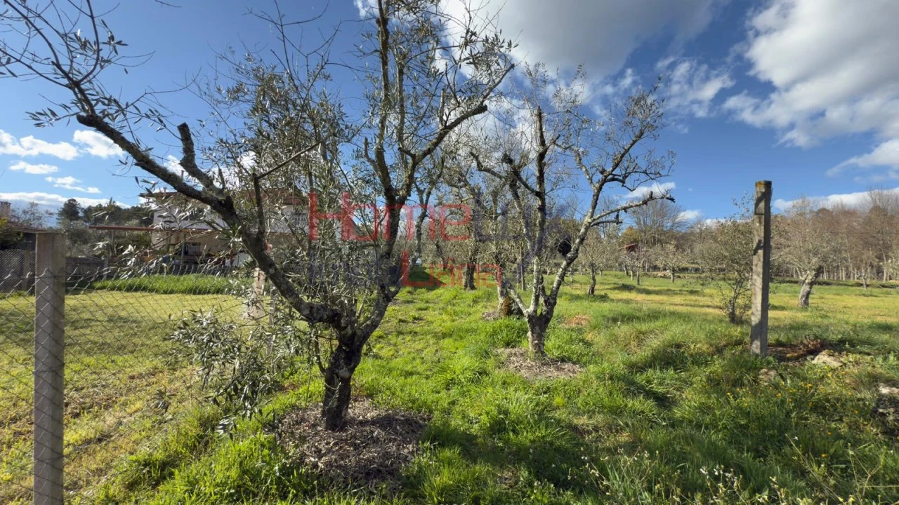 Moradia T1 para Venda em Barreiros e Cepões Foto 66