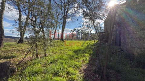 Moradia T1 para Venda em Barreiros e Cepões