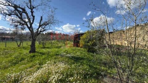 Moradia T1 para Venda em Barreiros e Cepões