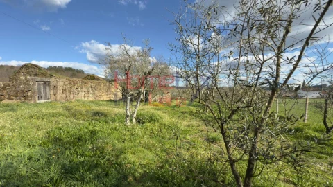 Moradia T1 para Venda em Barreiros e Cepões