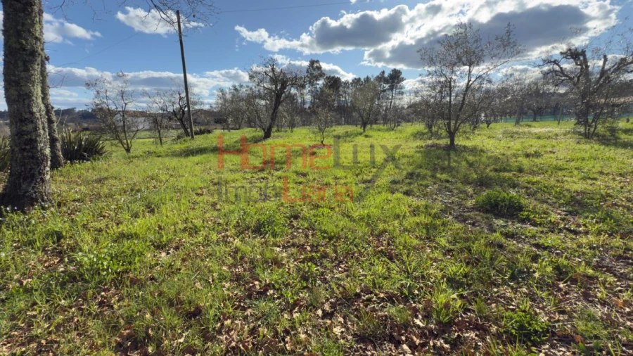 Moradia T1 para Venda em Barreiros e Cepões Foto 35