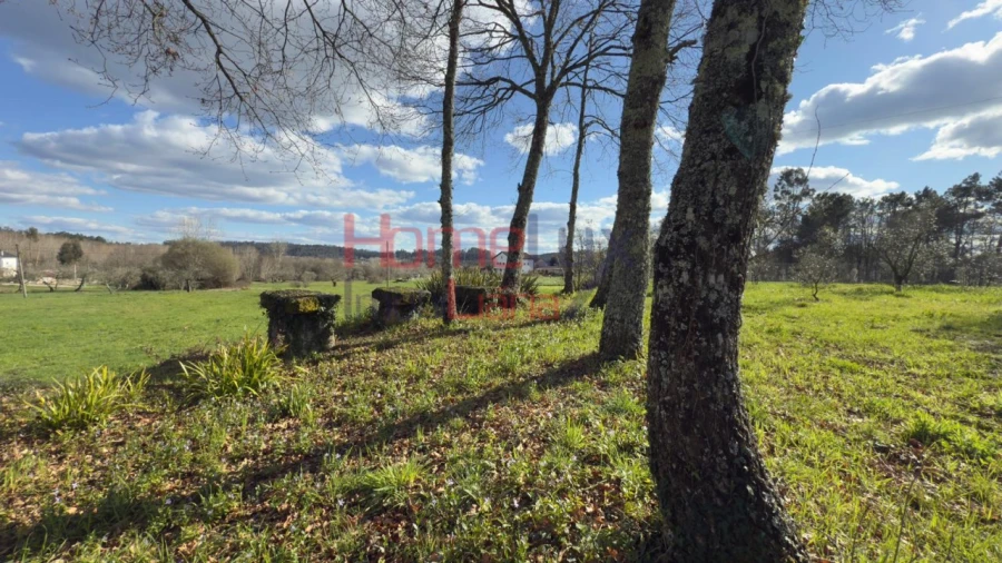 Moradia T1 para Venda em Barreiros e Cepões Foto 38