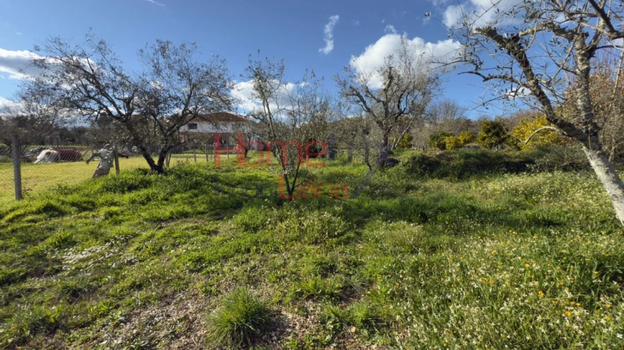 Moradia T1 para Venda em Barreiros e Cepões Foto 50