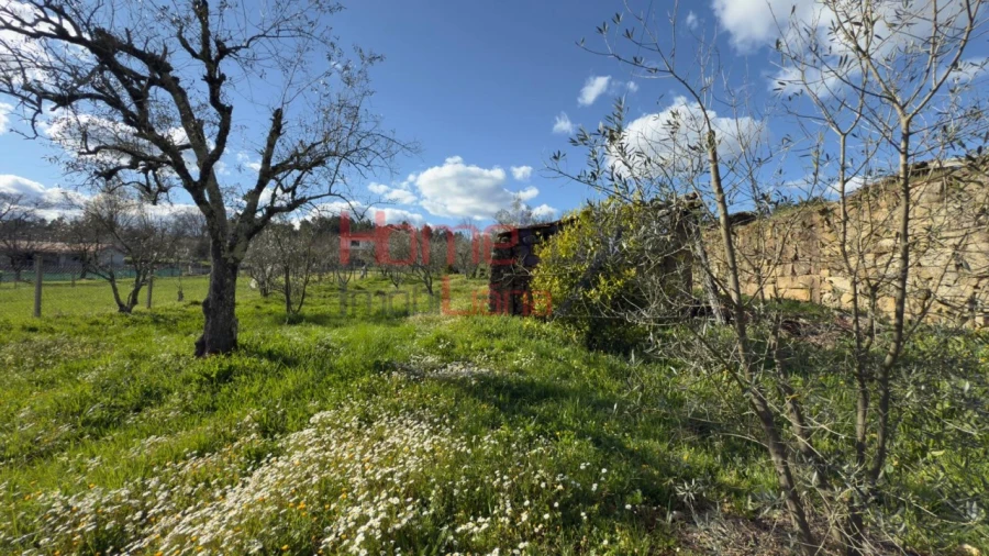 Moradia T1 para Venda em Barreiros e Cepões Foto 56