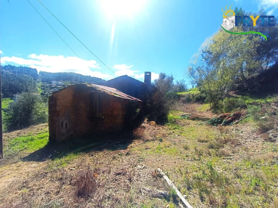 Terreno para Venda em Sertã Foto 9