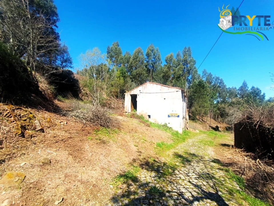 Terreno para Venda em Sertã Foto 19