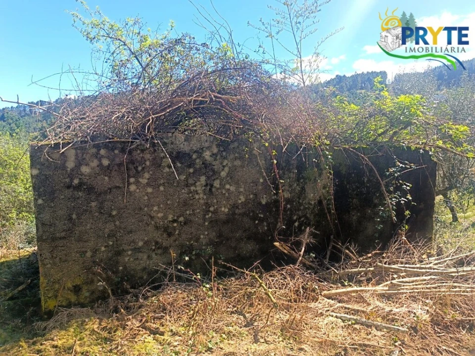 Terreno para Venda em Sertã Foto 24