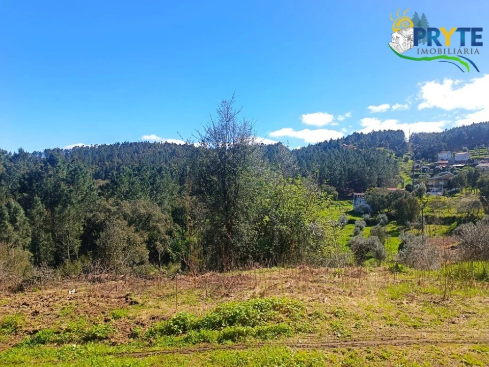 Terreno para Venda em Sertã Foto 26