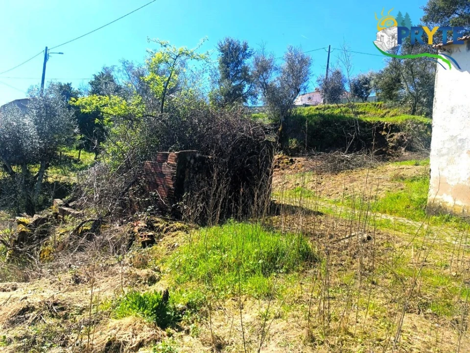 Terreno para Venda em Sertã Foto 27