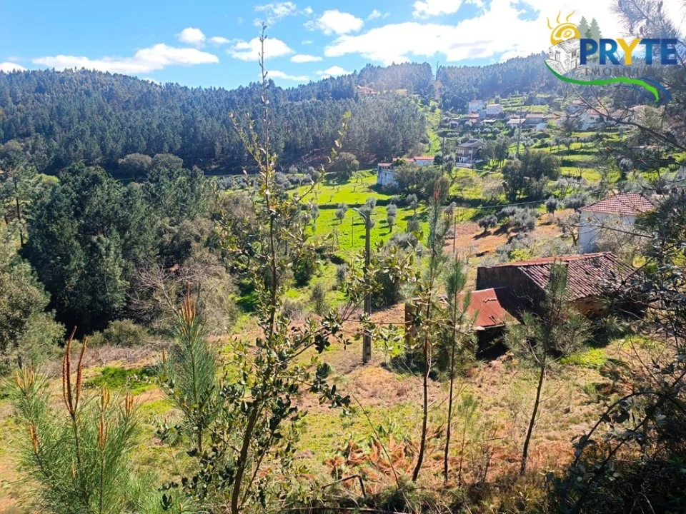Terreno para Venda em Sertã Foto 28