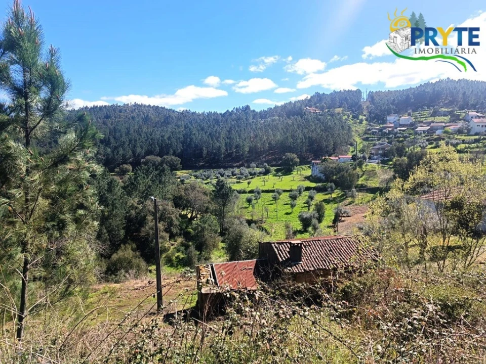 Terreno para Venda em Sertã Foto 29