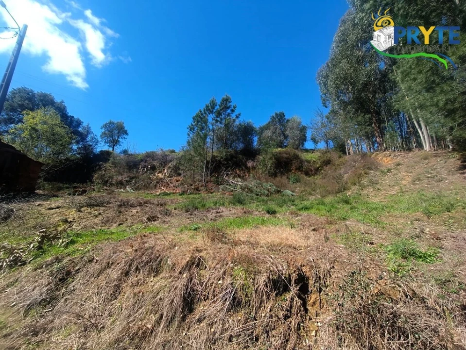 Terreno para Venda em Sertã Foto 32