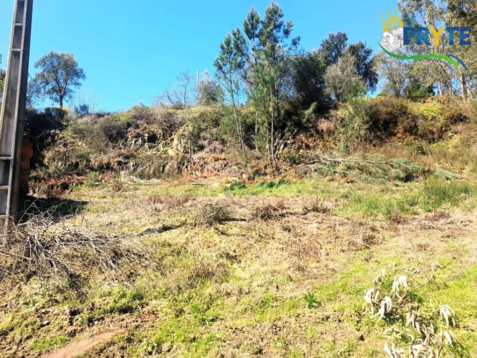 Terreno para Venda em Sertã Foto 33
