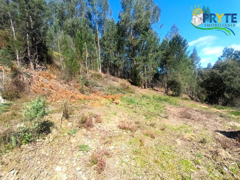 Terreno para Venda em Sertã Foto 34