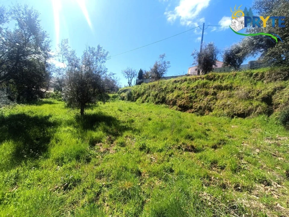 Terreno para Venda em Sertã Foto 35