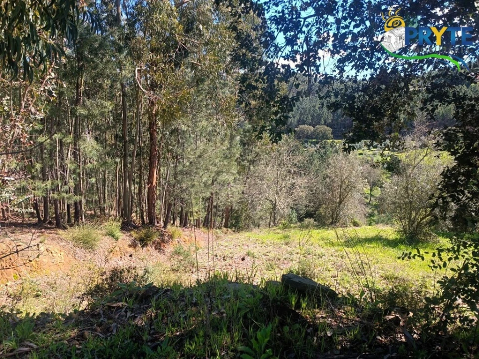Terreno para Venda em Sertã Foto 37