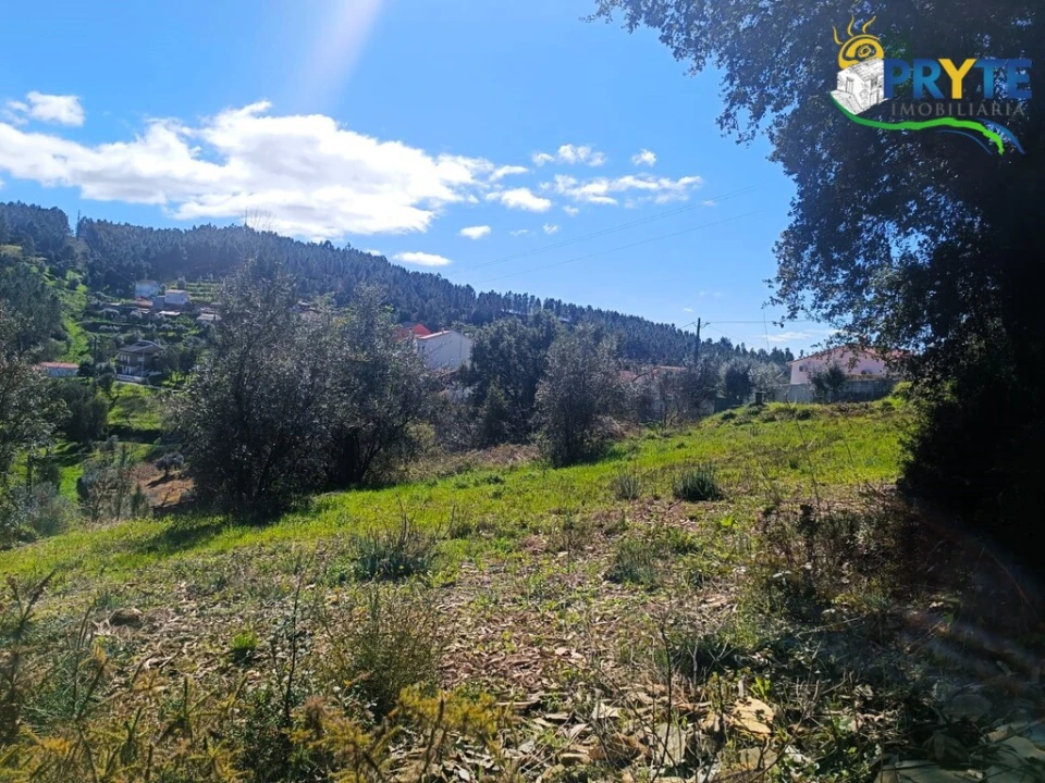 Terreno para Venda em Sertã Foto 38