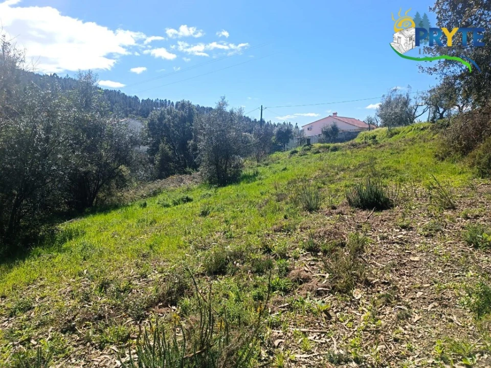 Terreno para Venda em Sertã Foto 41