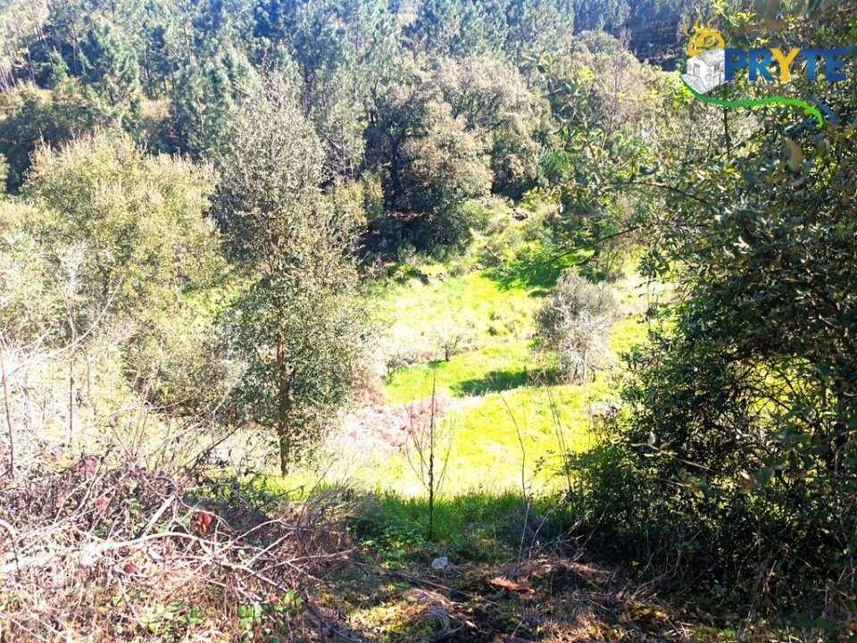 Terreno para Venda em Sertã Foto 45