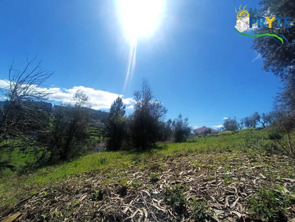 Terreno para Venda em Sertã Foto 46