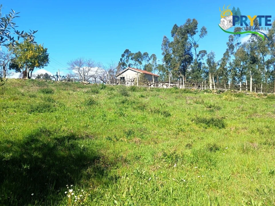 Terreno para Venda em Sertã Foto 50