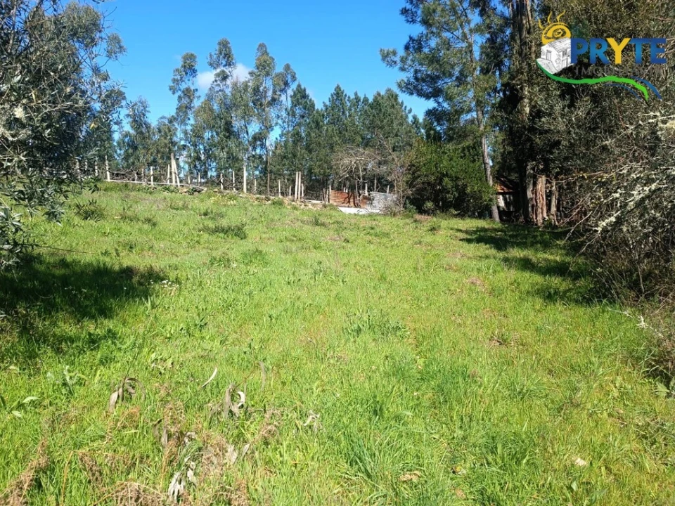 Terreno para Venda em Sertã Foto 51