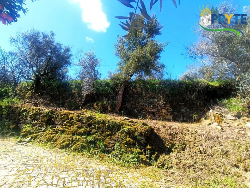 Terreno para Venda em Sertã Foto 55