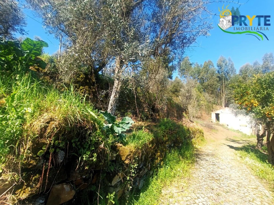 Terreno para Venda em Sertã Foto 56