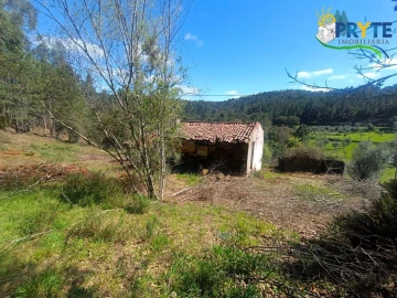 Terreno para Venda em Sertã