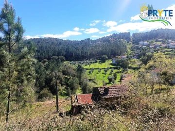 Terreno para Venda em Sertã