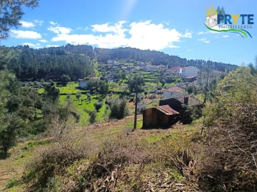 Terreno para Venda em Sertã