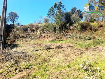 Terreno para Venda em Sertã
