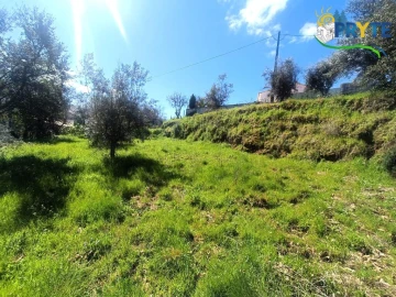 Terreno para Venda em Sertã