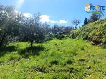 Terreno para Venda em Sertã