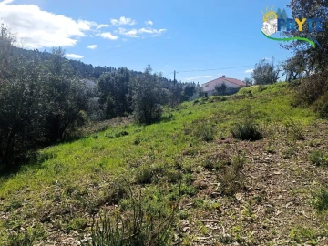 Terreno para Venda em Sertã