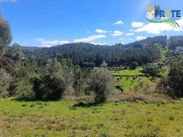 Terreno para Venda em Sertã