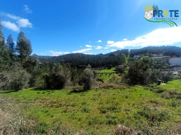 Terreno para Venda em Sertã