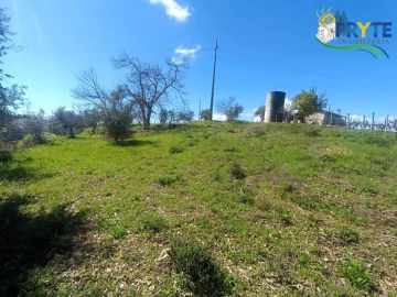 Terreno para Venda em Sertã