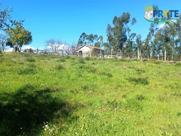 Terreno para Venda em Sertã