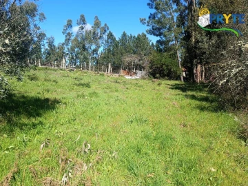 Terreno para Venda em Sertã
